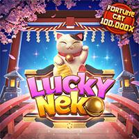 neko RW4D